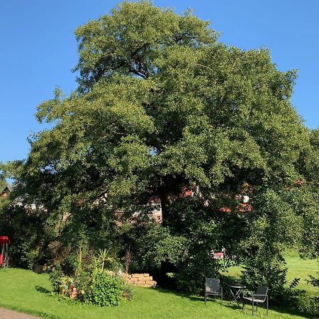 Ferienwohnung Am Rennsteig Bei Eisenach - Ilona Schmidt Wolfsburg-Unkeroda Zewnętrze zdjęcie