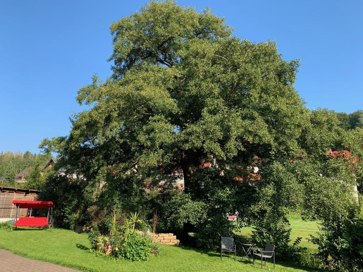 Ferienwohnung Am Rennsteig Bei Eisenach - Ilona Schmidt Wolfsburg-Unkeroda Zewnętrze zdjęcie
